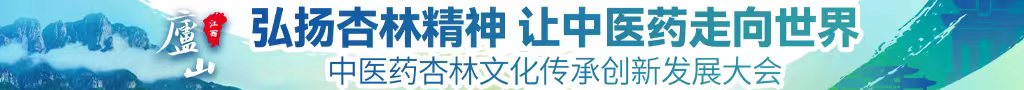 大黑鸡巴视频网站中医药杏林文化传承创新发展大会